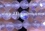 CTG1208 15.5 inches 4mm faceted round tiny labradorite beads