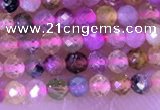 CTG1325 15.5 inches 2mm faceted round tourmaline beads wholesale