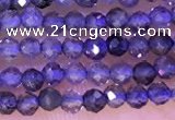 CTG1329 15.5 inches 2mm faceted round iolite beads wholesale