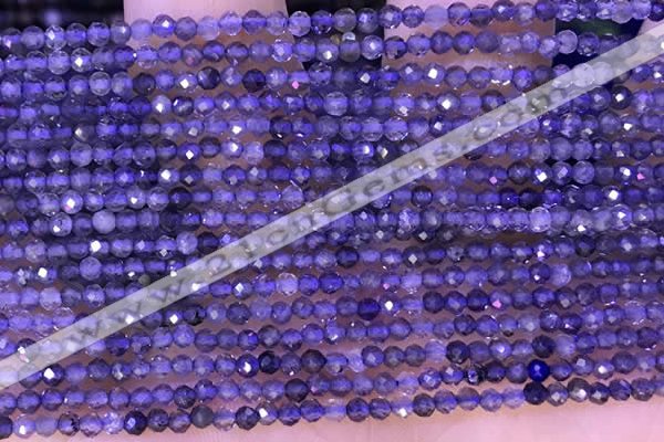 CTG1329 15.5 inches 2mm faceted round iolite beads wholesale