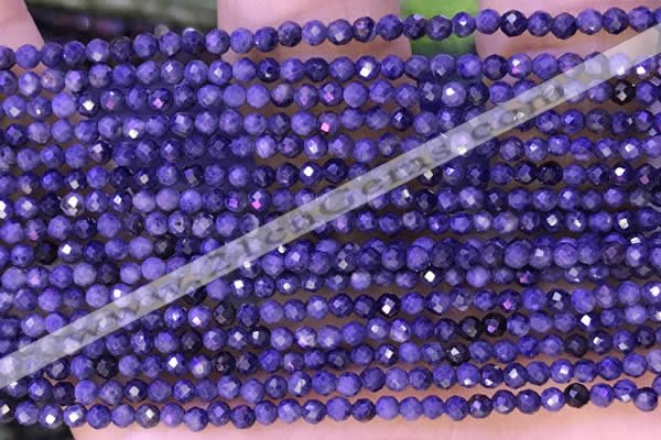 CTG1333 15.5 inches 2mm faceted round sapphire beads wholesale