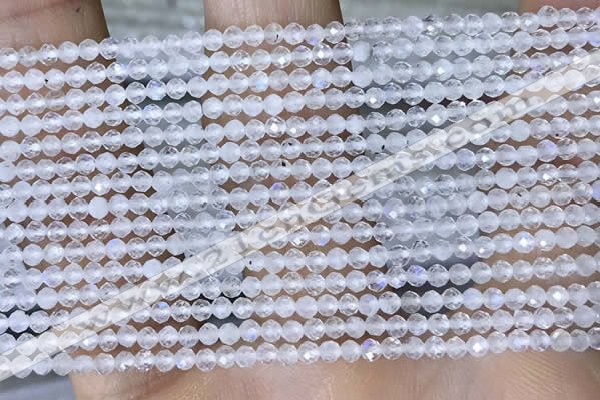 CTG1402 15.5 inches 2mm faceted round white moonstone beads wholesale