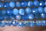 CTG1418 15.5 inches 2mm faceted round apatite beads wholesale