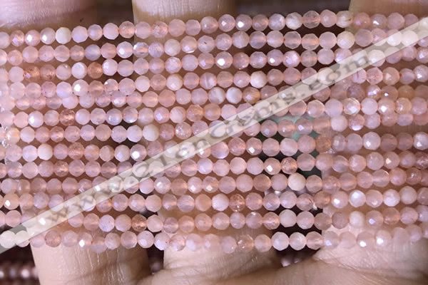 CTG1453 15.5 inches 2mm faceted round moonstone beads wholesale