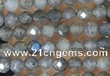 CTG1459 15.5 inches 2mm faceted round labradorite beads wholesale