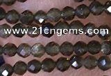 CTG1461 15.5 inches 2mm faceted round golden obsidian beads