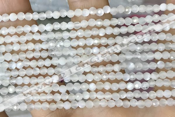 CTG1480 15.5 inches 3mm faceted round white moonstone beads