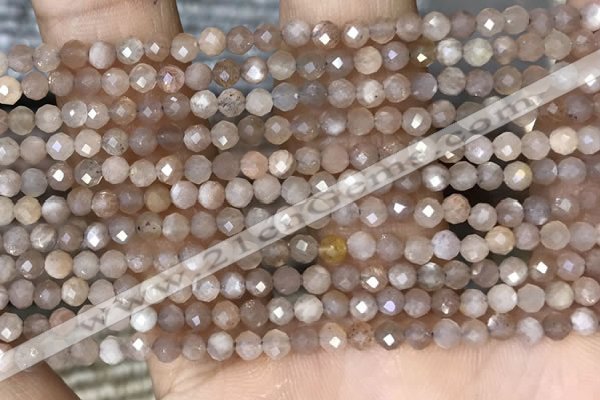 CTG1503 15.5 inches 3mm faceted round moonstone gemstone beads