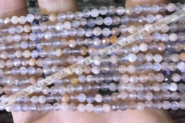 CTG1504 15.5 inches 3mm faceted round moonstone beads wholesale