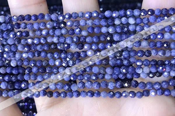 CTG1518 15.5 inches 3mm faceted round sapphire gemstone beads