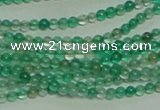 CTG152 15.5 inches 3mm round tiny green agate beads wholesale