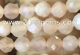 CTG1544 15.5 inches 4mm faceted round moonstone beads wholesale