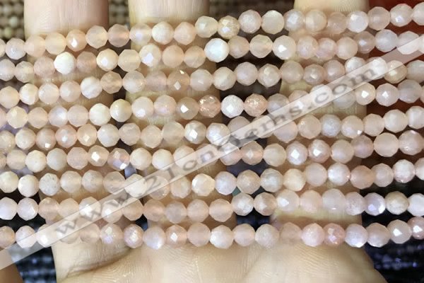 CTG1544 15.5 inches 4mm faceted round moonstone beads wholesale