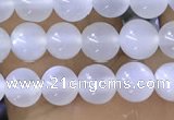 CTG1581 15.5 inches 4mm round white moonstone beads wholesale