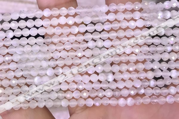 CTG1601 15.5 inches 3mm faceted round tiny white moonstone beads