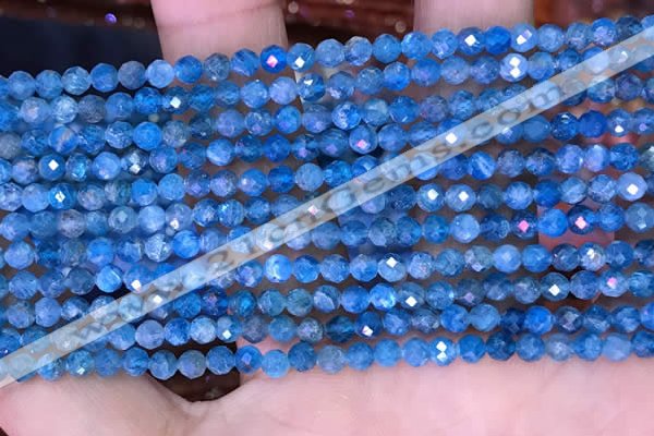 CTG1614 15.5 inches 3.5mm faceted round tiny apatite beads