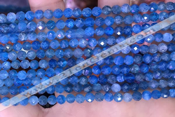 CTG1615 15.5 inches 4mm faceted round tiny apatite beads