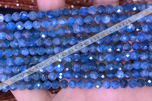 CTG1616 15.5 inches 5mm faceted round tiny apatite beads