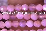 CTG1645 15.5 inches 3mm faceted round tiny moonstone beads