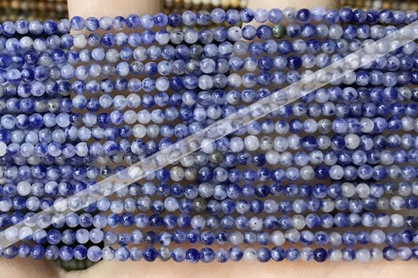 CTG2017 15 inches 2mm,3mm sodalite gemstone beads