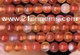 CTG2056 15 inches 2mm,3mm red agate gemstone beads