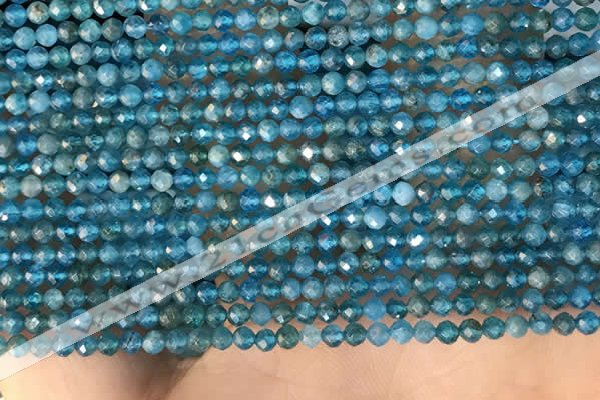 CTG2130 15 inches 2mm,3mm faceted round apatite gemstone beads
