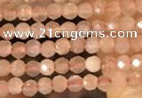 CTG2138 15 inches 2mm,3mm faceted round sunstone gemstone beads