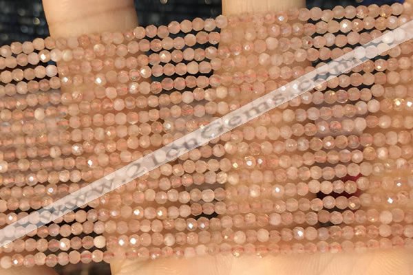 CTG2138 15 inches 2mm,3mm faceted round sunstone gemstone beads