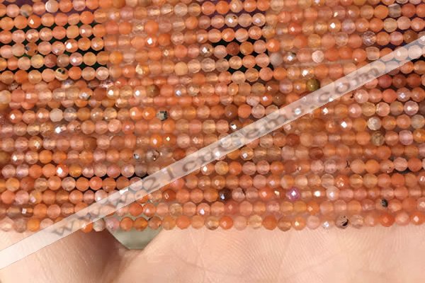 CTG2142 15 inches 2mm,3mm faceted round golden sunstone beads