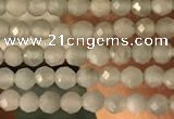 CTG2155 15 inches 2mm,3mm faceted round amazonite gemstone beads