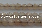 CTG218 15.5 inches 3mm faceted round tiny moonstone beads