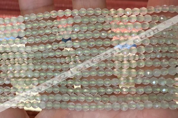 CTG2205 15 inches 2mm,3mm faceted round prehnite gemstone beads