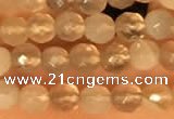 CTG2209 15 inches 2mm,3mm faceted round botswana agate beads