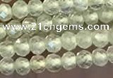 CTG2246 15 inches 2mm faceted round natural prehnite beads