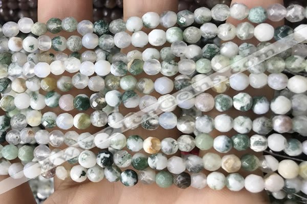 CTG2532 15.5 inches 4mm faceted round tree agate beads