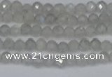 CTG613 15.5 inches 3mm faceted round labradorite beads