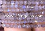 CTG700 15.5 inches 2mm faceted round tiny labradorite beads