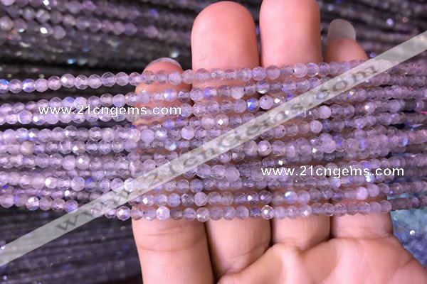 CTG702 15.5 inches 4mm faceted round tiny labradorite beads