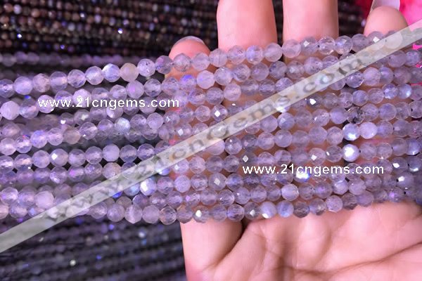 CTG703 15.5 inches 5mm faceted round tiny labradorite beads