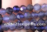 CTG754 15.5 inches 3mm faceted round tiny iolite gemstone beads