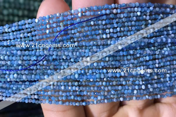 CTG758 15.5 inches 1.5mm faceted round tiny apatite gemstone beads