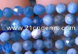 CTG760 15.5 inches 3mm faceted round tiny apatite gemstone beads