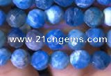 CTG762 15.5 inches 5mm faceted round tiny apatite gemstone beads