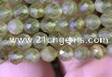 CTG813 15.5 inches 4mm faceted round tiny prehnite beads