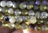 CTG818 15.5 inches 3mm faceted round tiny green garnet beads