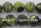 CTP106 15.5 inches 16mm round yellow pine turquoise beads wholesale