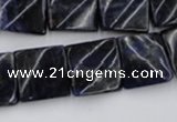 CTW355 15.5 inches 16*16mm twisted square sodalite gemstone beads