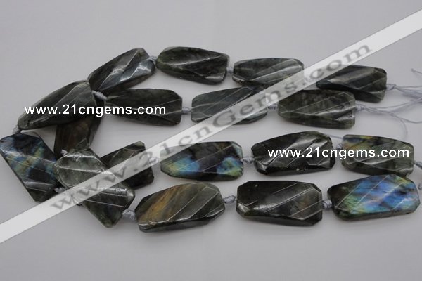 CTW457 20*38mm faceted & twisted rectangle labradorite beads