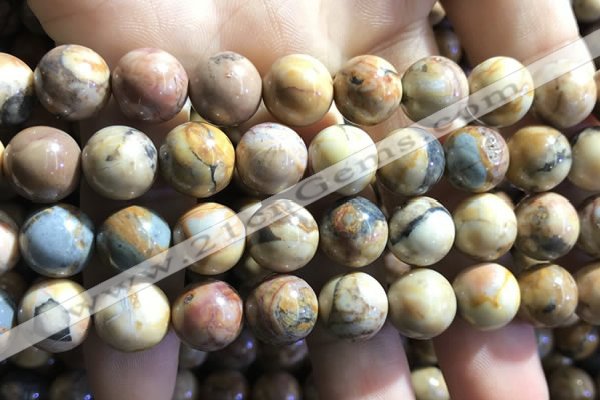 CVJ06 15.5 inches 14mm round venus jasper beads wholesale