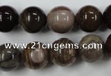 CWJ206 15.5 inches 16mm round wood jasper gemstone beads wholesale